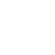DDV