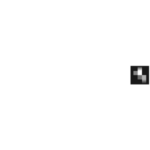 PlanNET_Logo_white_desaturated