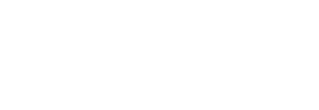 More New Business Now WOW